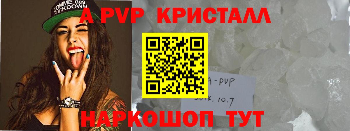 Альфа ПВП СК Владикавказ
