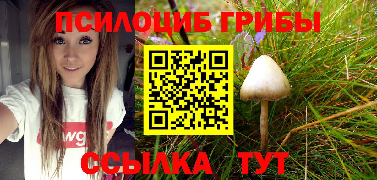 Псилоцибиновые грибы Magic Shrooms  Вход с VPN  Галлюциногенные грибы мухоморы  Владикавказ 